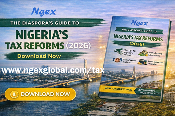 Diaspora Guide to Nigeria Taxes
