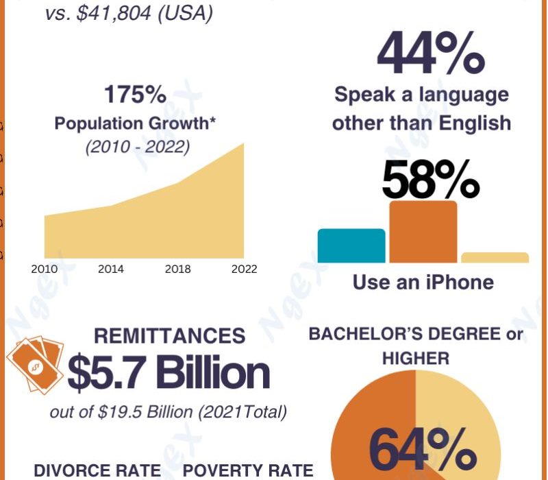 Nigerians in the USA infographic