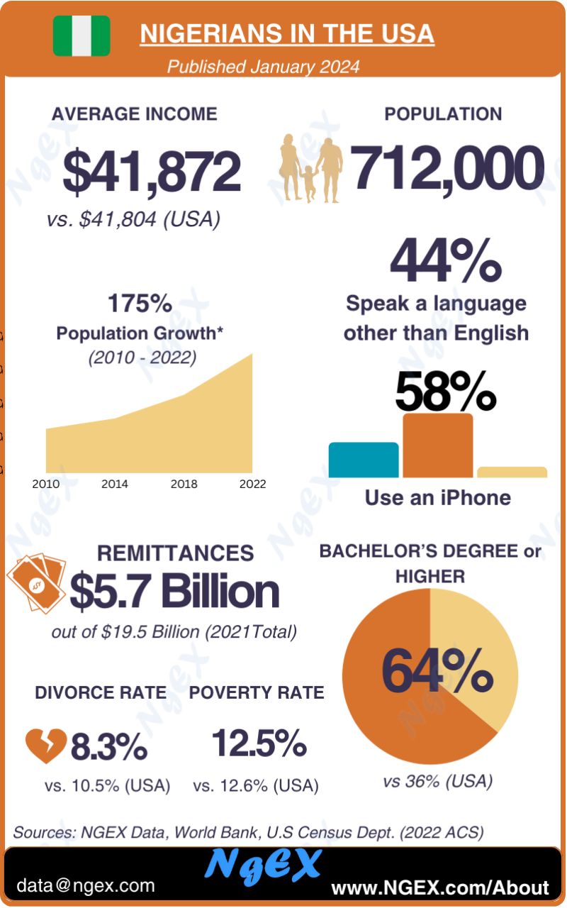 Nigerians in the USA infographic